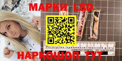 дмт Краснодар