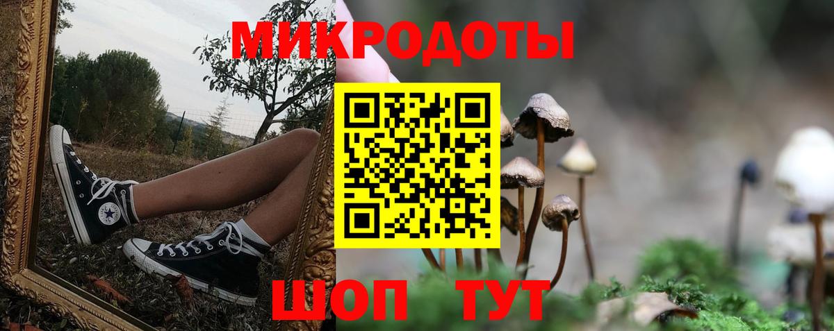 Галлюциногенные грибы Psilocybine cubensis  Псилоцибиновые грибы ЛСД  Волхов  Вход с VPN 